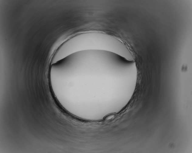 X0000101390004200807280948