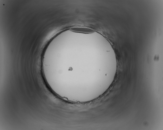 X0000101390005200807280948