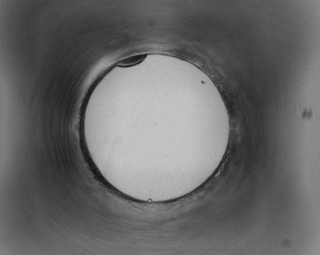 X0000101390006200807280948