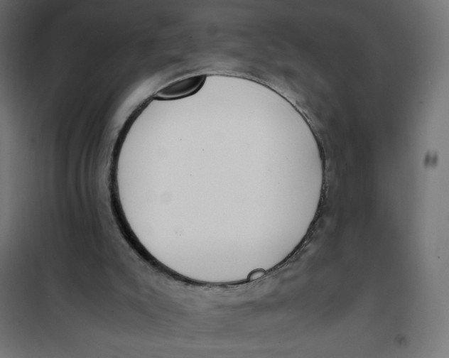 X0000101390007200807280948