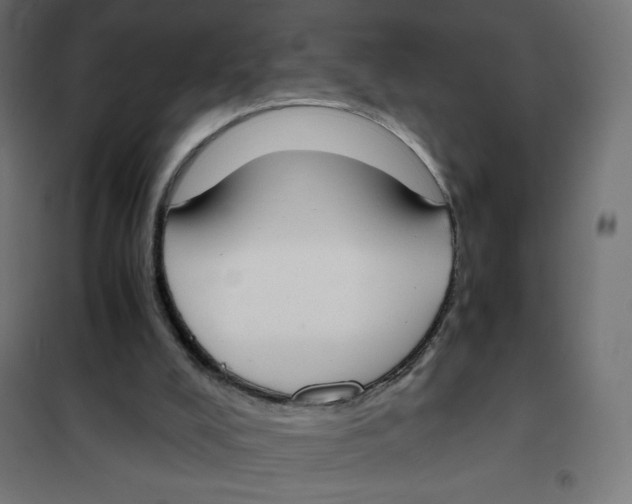 X0000101390008200807280948