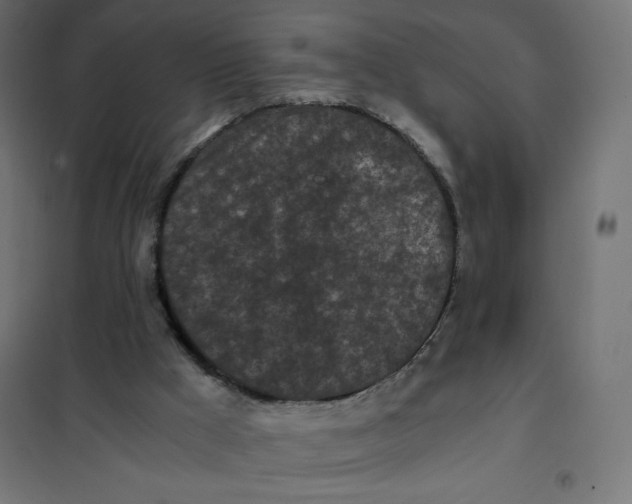 X0000101390009200807280948