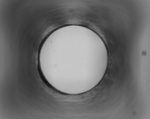 X0000101390011200807280948