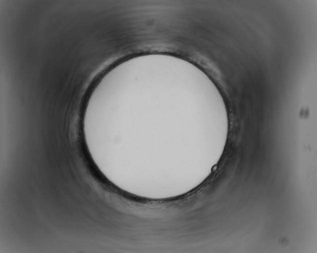 X0000101390012200807280948