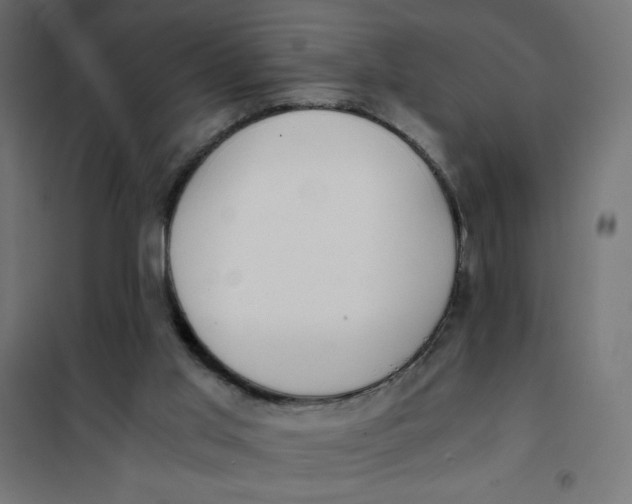 X0000101390013200807280948