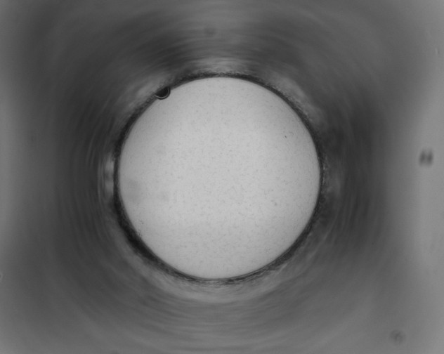 X0000101390014200807280948