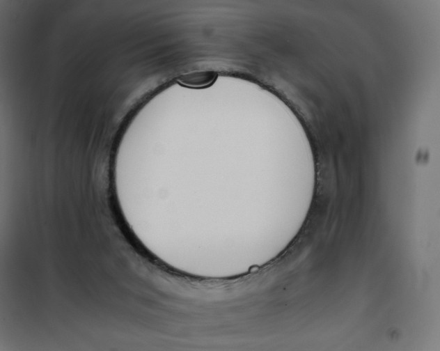 X0000101390015200807280948