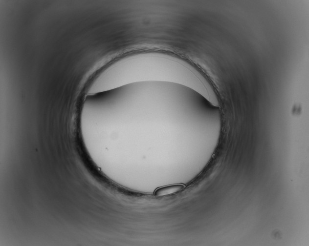 X0000101390016200807280948