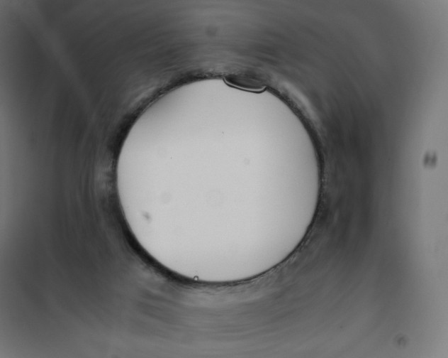 X0000101390017200807280948