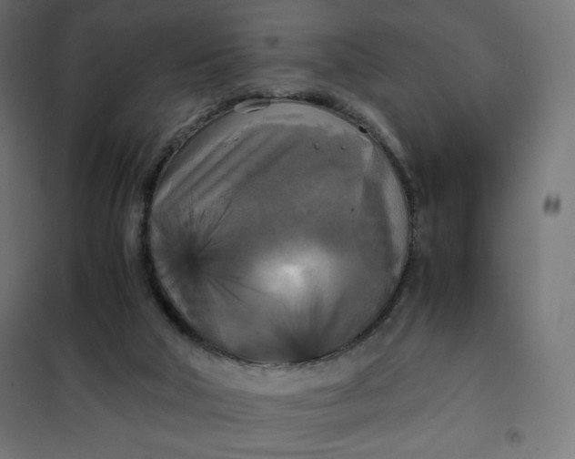X0000101390018200807280948