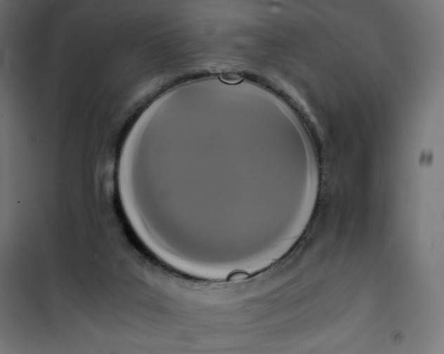 X0000101390019200807280948