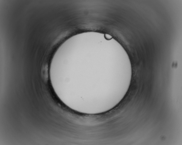 X0000101390020200807280948