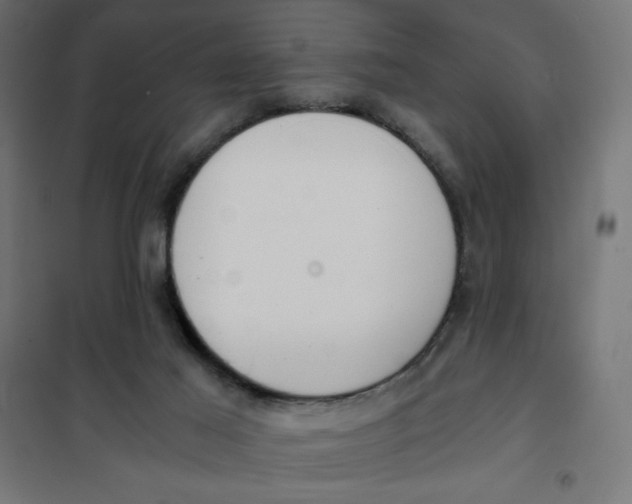X0000101390021200807280948