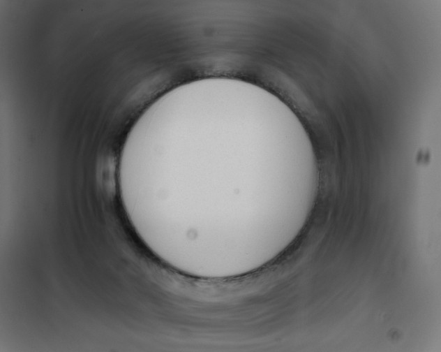 X0000101390022200807280948