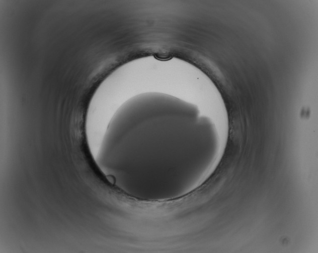 X0000101390023200807280948