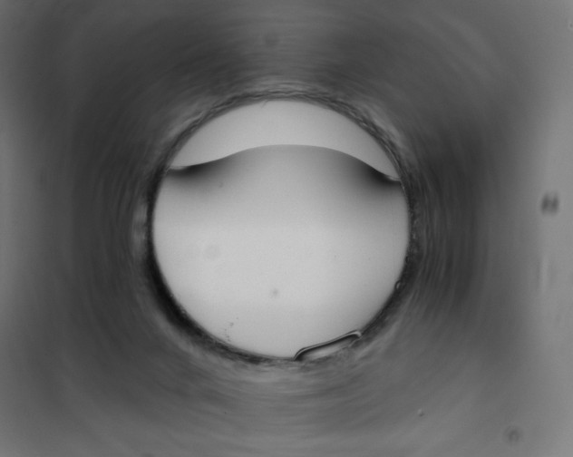 X0000101390024200807280948