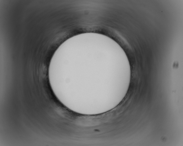 X0000101390025200807280948