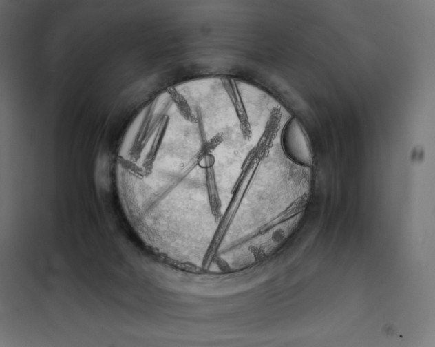 X0000101390026200807280948