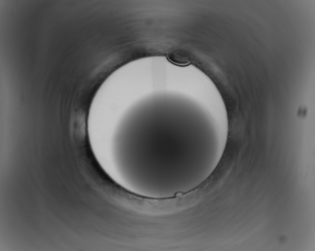 X0000101390027200807280948