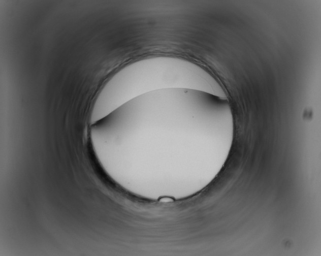 X0000101390028200807280948