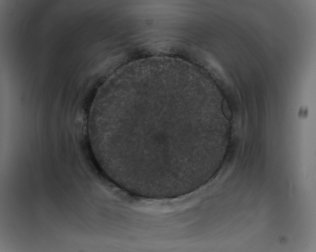 X0000101390029200807280948