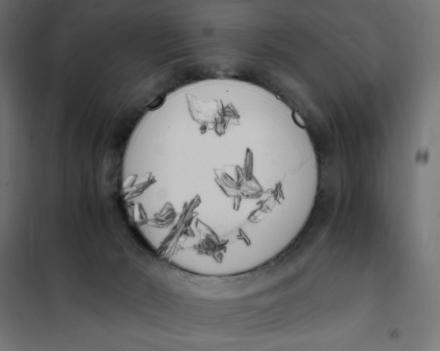 X0000101390030200807280948