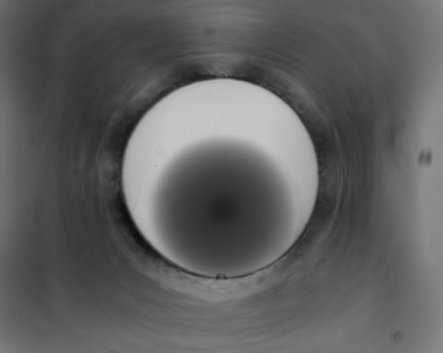 X0000101390031200807280948