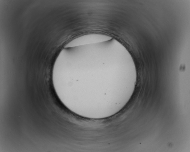 X0000101390032200807280948