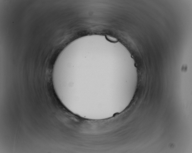 X0000101390033200807280948