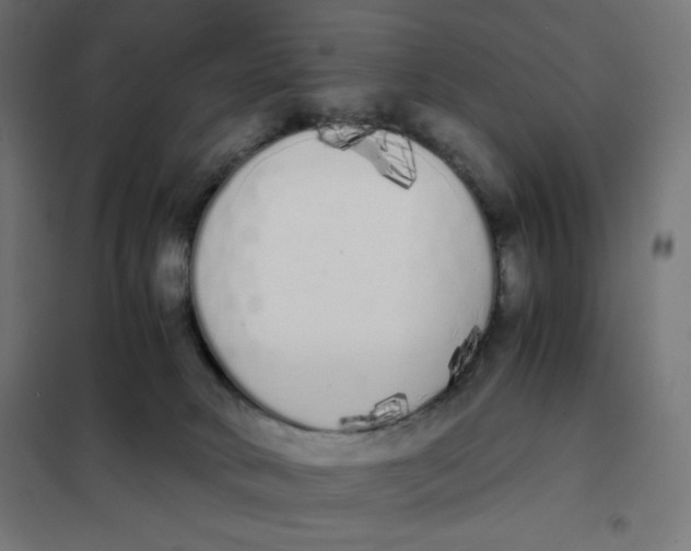 X0000101390034200807280948