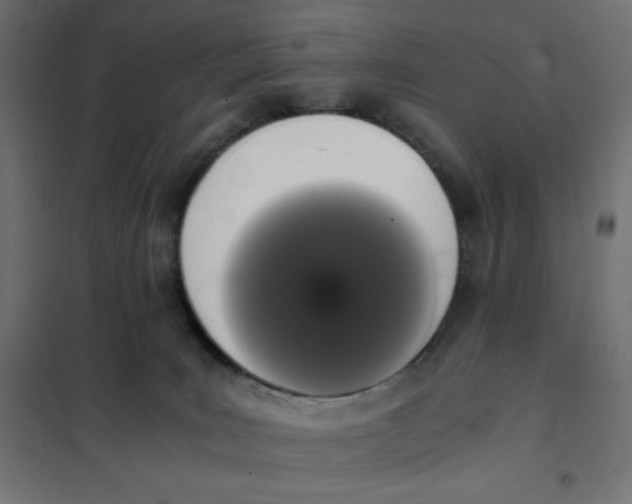 X0000101390035200807280948