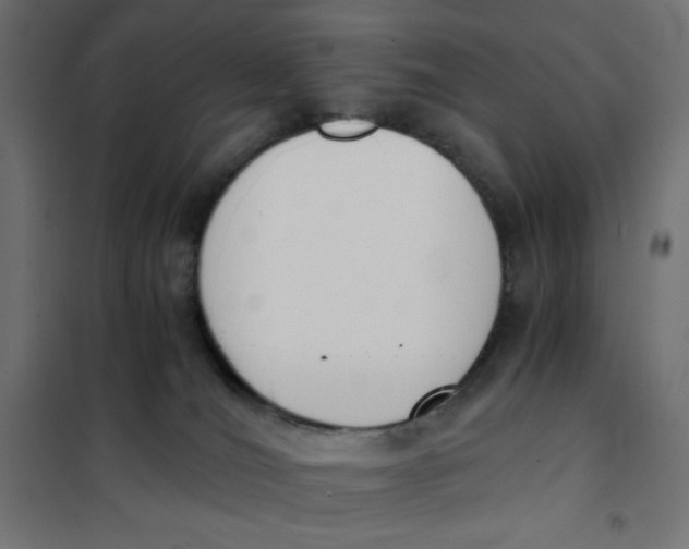 X0000101390036200807280948