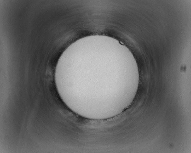 X0000101390037200807280948