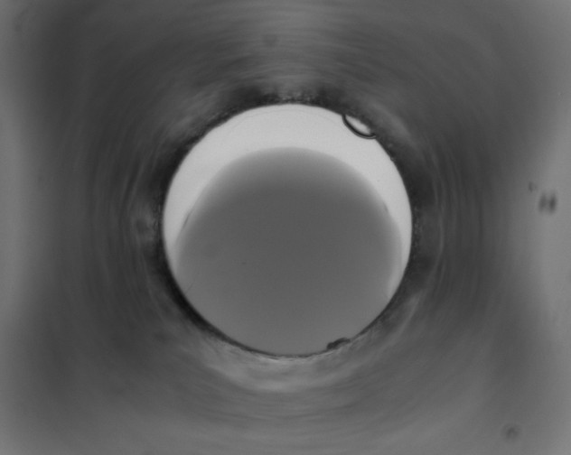 X0000101390039200807280948