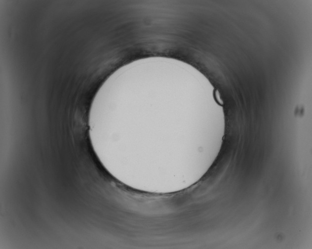 X0000101390040200807280948