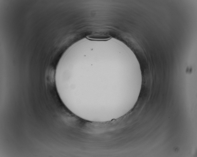 X0000101390041200807280948