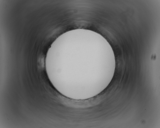 X0000101390042200807280948