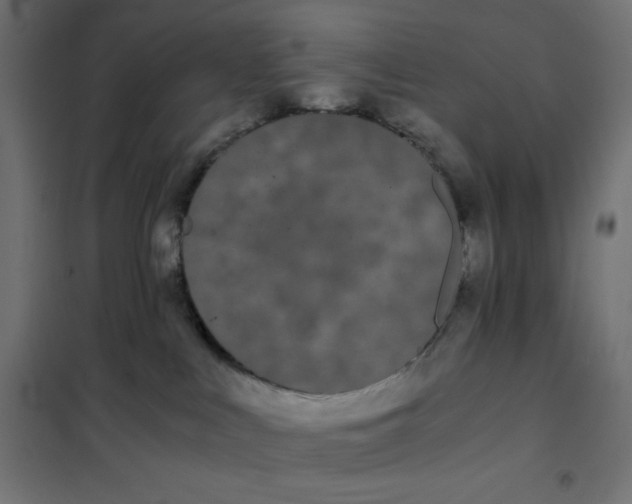 X0000101390043200807280948