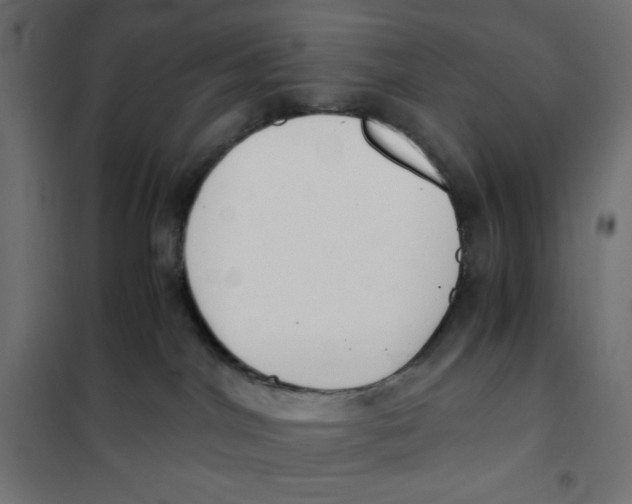 X0000101390044200807280948