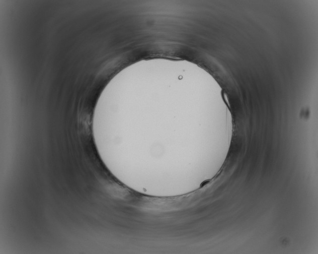 X0000101390045200807280948