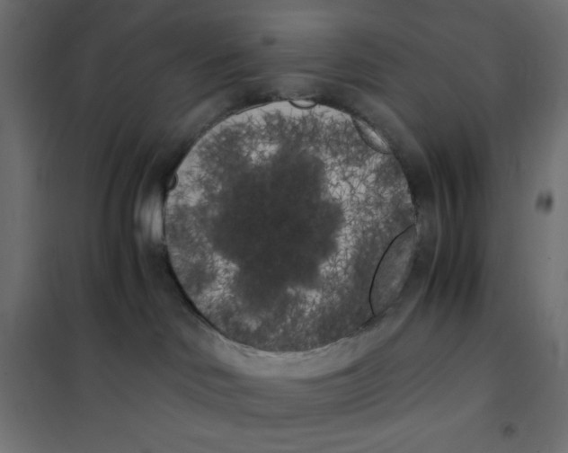 X0000101390046200807280948