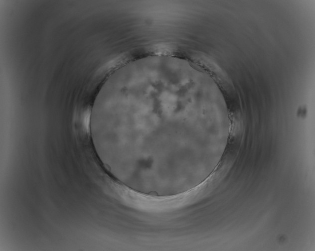X0000101390047200807280948