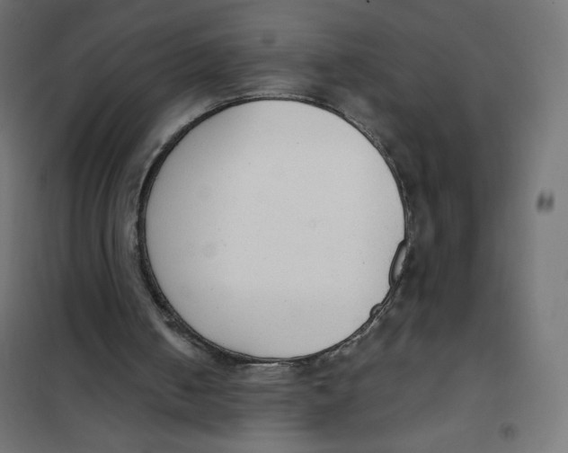 X0000101390050200807280947