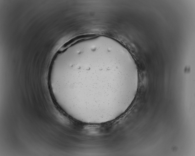 X0000101390051200807280947