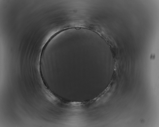 X0000101390052200807280947