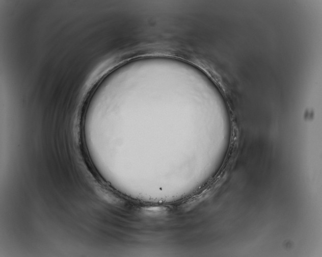 X0000101390053200807280947