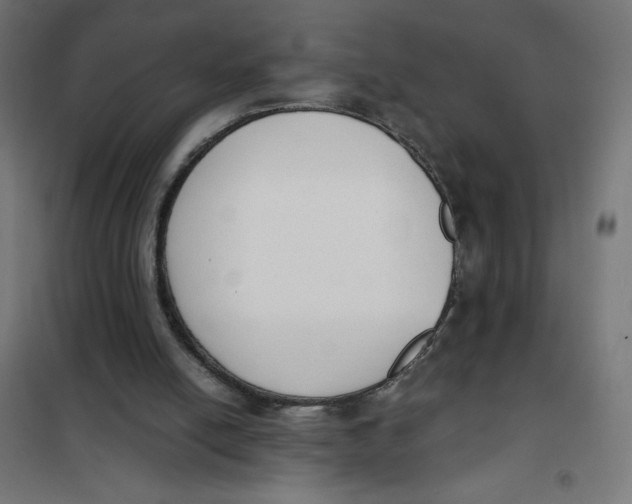 X0000101390054200807280947