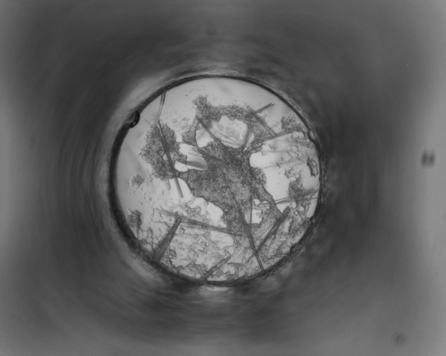 X0000101390055200807280947