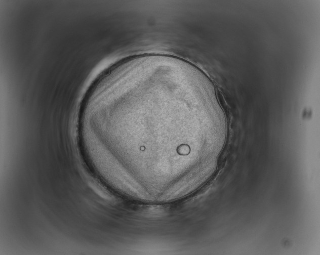 X0000101390056200807280947