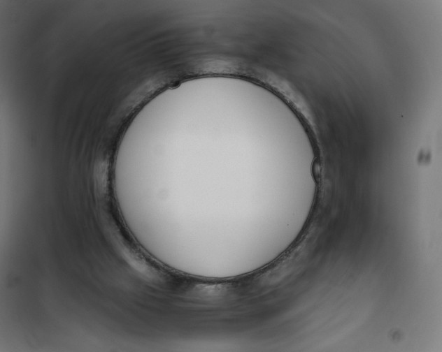X0000101390057200807280947